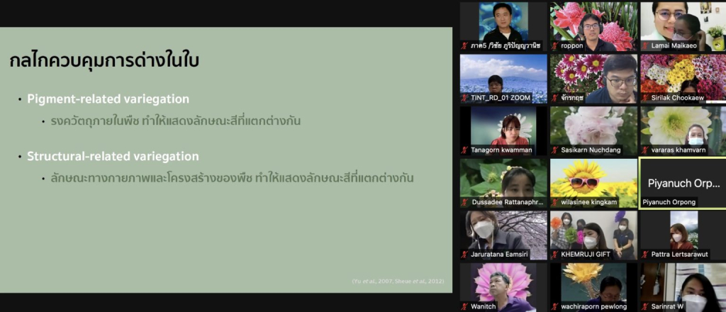 Screen Shot 2564-11-24 at 09.19.30b