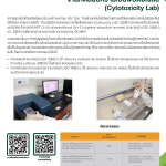 Go to infographic of Cytotoxicity Lab (งานทดสอบความเป็นพิษต่อเซลล์)