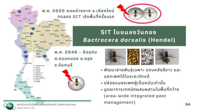 SIT2025 (2)_compressed-05