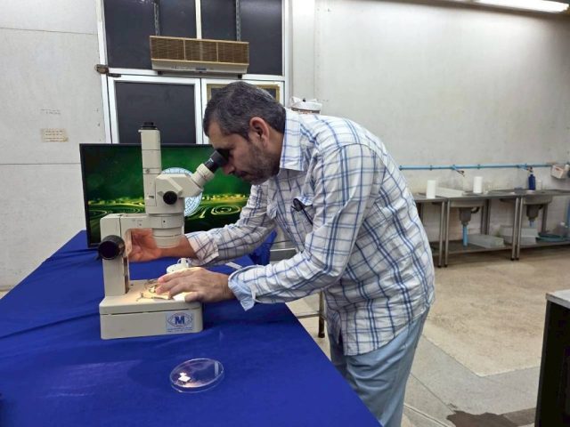 LINE_ALBUM_SV. OMN 17-28 Nov. 2025_251201_10