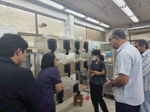 LINE_ALBUM_SV. OMN 17-28 Nov. 2025_251201_11