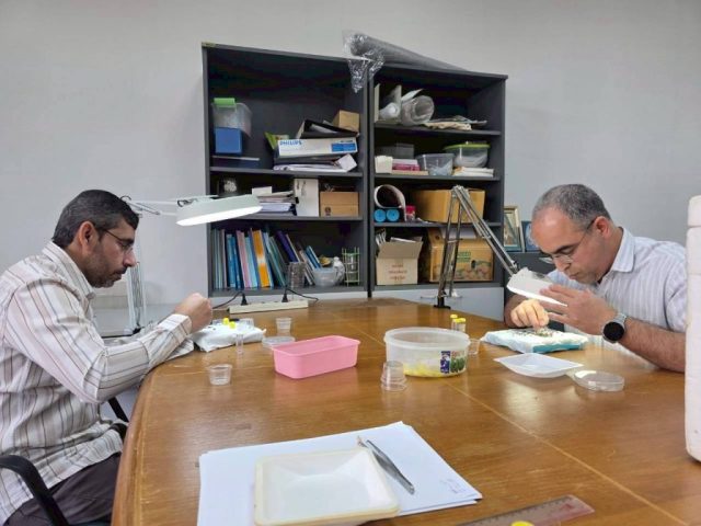 LINE_ALBUM_SV. OMN 17-28 Nov. 2025_251201_14