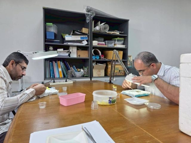 LINE_ALBUM_SV. OMN 17-28 Nov. 2025_251201_15