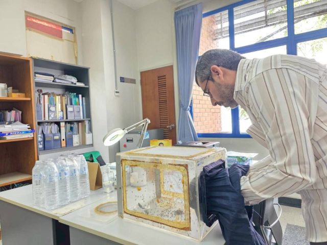 LINE_ALBUM_SV. OMN 17-28 Nov. 2025_251201_16