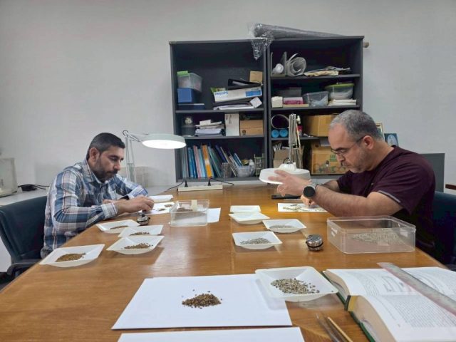 LINE_ALBUM_SV. OMN 17-28 Nov. 2025_251201_18