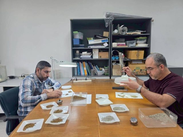 LINE_ALBUM_SV. OMN 17-28 Nov. 2025_251201_19