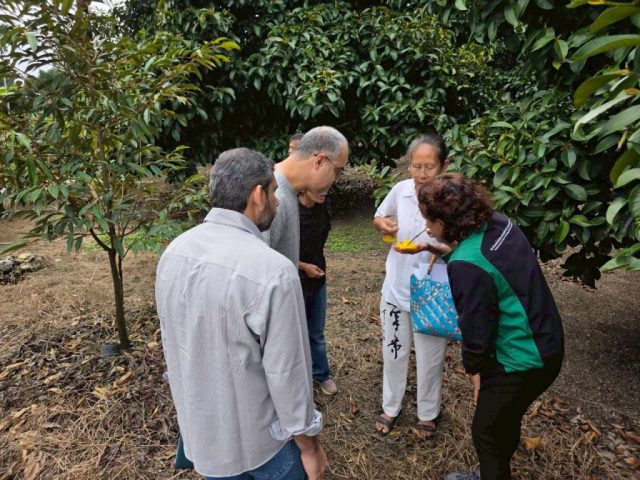LINE_ALBUM_SV. OMN 17-28 Nov. 2025_251201_24