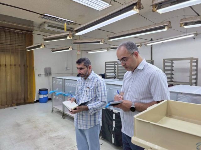 LINE_ALBUM_SV. OMN 17-28 Nov. 2025_251201_30