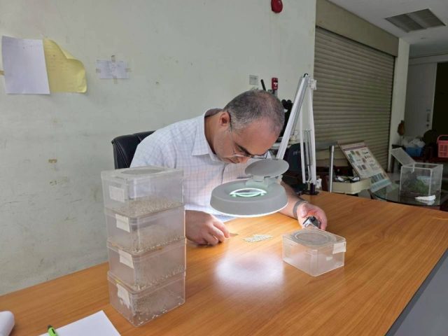 LINE_ALBUM_SV. OMN 17-28 Nov. 2025_251201_33