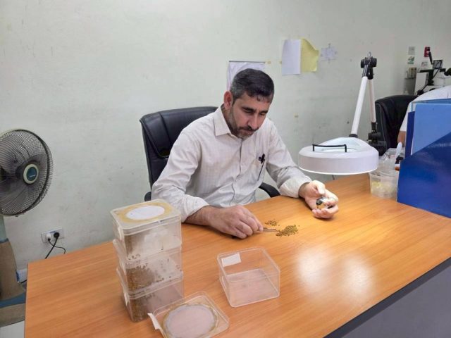 LINE_ALBUM_SV. OMN 17-28 Nov. 2025_251201_34