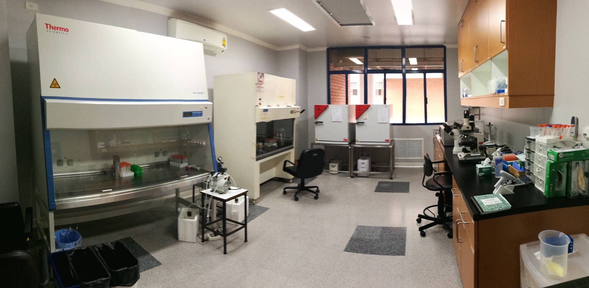 IMG_20170821_132822b