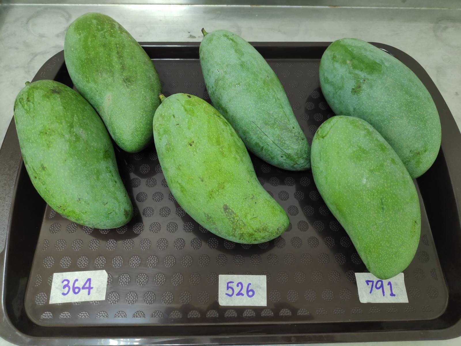 IMG_20200320_090443b