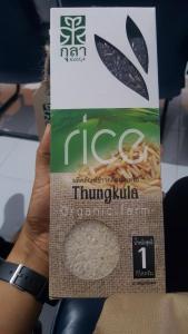 RD Shares: GISDA 5 Apr 2018