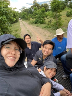 line_1400867424353352