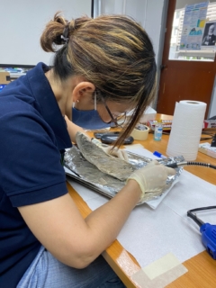 line_1455010542525757