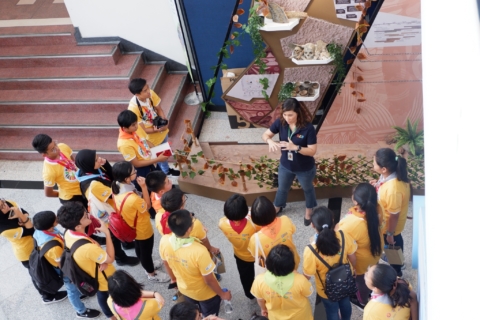 line_370888279762848