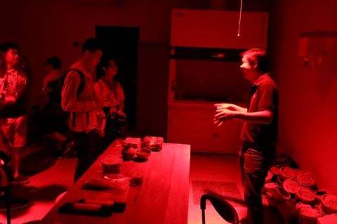 line_371619238697171