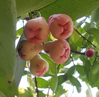 18-20 March 2020 200320 0003