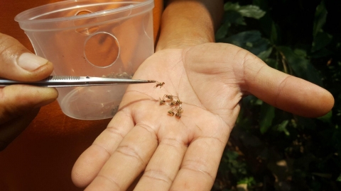 18-20 March 2020 200320 0007