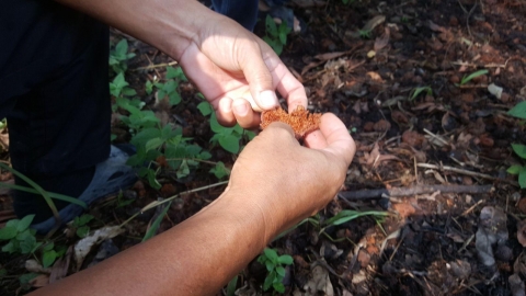 18-20 March 2020 200320 0013