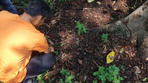 18-20 March 2020 200320 0014