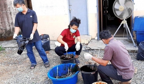 29-31 Jan 2020 200320 0001