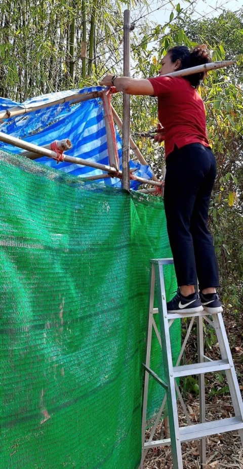 29-31 Jan 2020 200320 0002