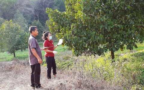 29-31 Jan 2020 200320 0003