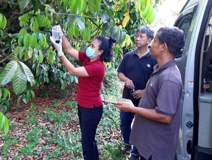 29-31 Jan 2020 200320 0004