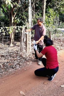 29-31 Jan 2020 200320 0006