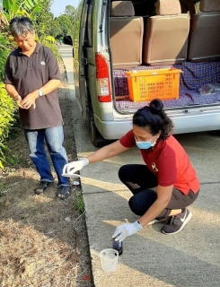 29-31 Jan 2020 200320 0007