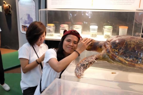 2 Mar 2017 Rayong 200620 0023